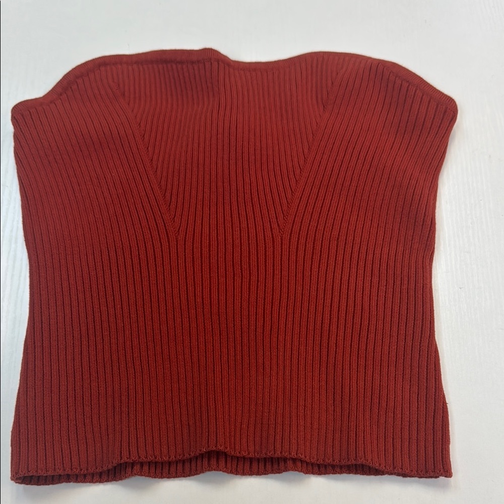 Express Scarlet Ribbed Tube Top